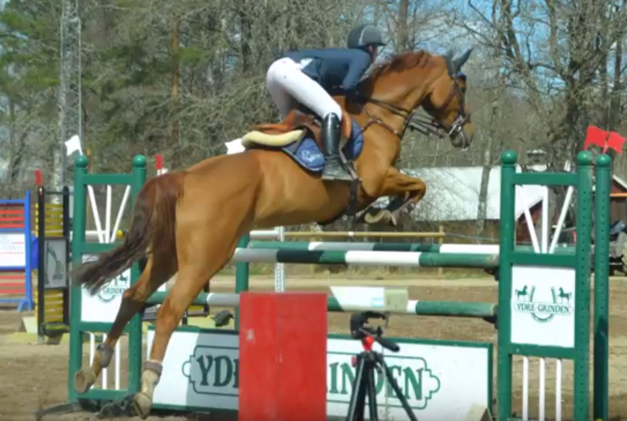 Layjana B von Leo von Faelz x Silvio I