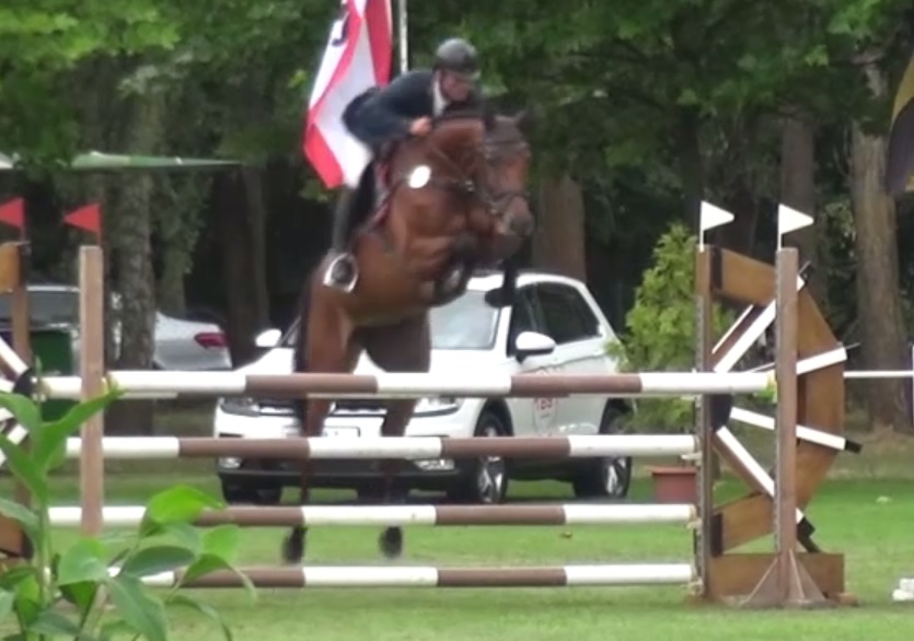 Loopy 2 von Leo von Faelz x Chacco-Blue